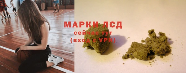 твердый Аркадак